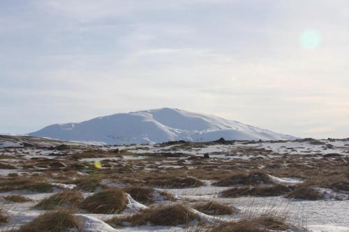 Hekla / mountain Hekla